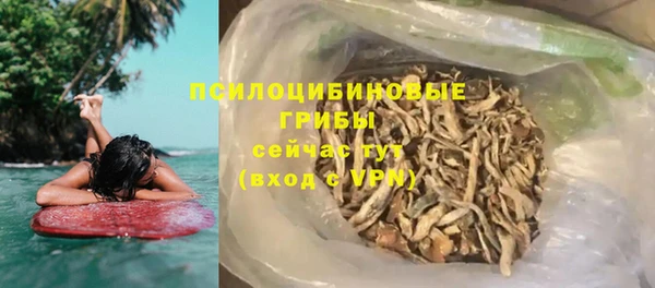 гашик Россошь